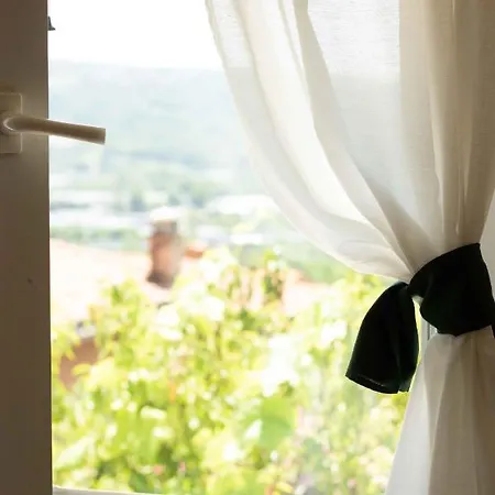 Vitedimare Sole - Sun Apartment Muggia