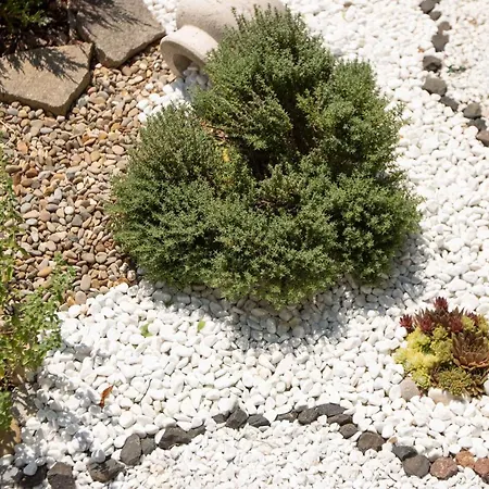 Sole Special Ap-double Sofa Bed With Topper * Múggia